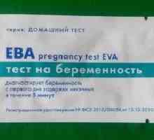 „Eva“ - těhotenský test: recenze, funkce aplikace, ceny