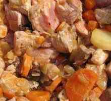 „Farmina“: krmivo pro psy, kvalitní a chutné