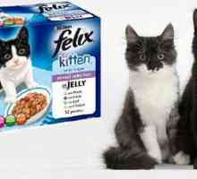 „Felix“ (kat potravin): hodnocení zákazníků a veterináři