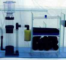 Filtr pro akvárium s vlastníma rukama. Jak sestavit filtr do akvária: desek plošných spojů