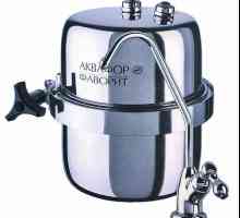 Vodní filtr „Aquaphor Oblíbené“: popis, výhody klientů