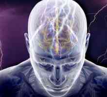 Ohnisková Epilepsie: formy, příčiny, léčba. V případě, že léčbu epilepsie v Rusku