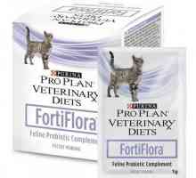 „Fortiflora pro kočky“: návod k použití