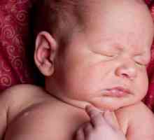 Houba pupek u novorozenců: příčiny, léčba, fotky
