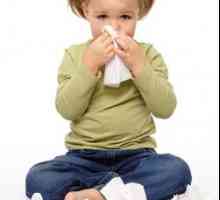 Zánět vedlejších nosních dutin u dítěte: co to je. Příčiny, léčba