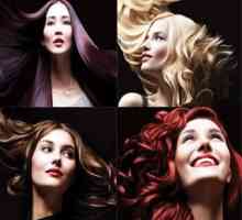 Garnier "Olia" - Hair Beauty Palette