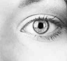 Oční kapky „taurin“: reakce pacientů a lékařů