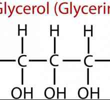 Glycerin a jeho aplikace. potravinářský glycerin