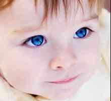 Hnisající oči dítěte: co dělat, když není možné navštívit očního lékaře
