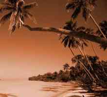 North Goa: pláže v rytmu reggae