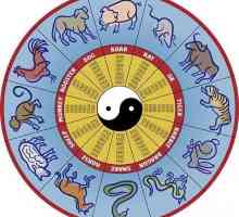 Rok Buvola: charakteristický. Znamení býka, východní / čínský kalendář