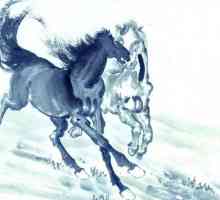 Rok koně: charakteristický pro všechny příznaky východní horoskopu