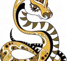 Rok hada: charakteristické rysy