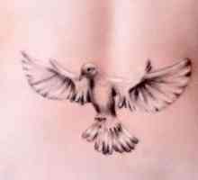 Dove - tetování, jehož význam je dobré vědět