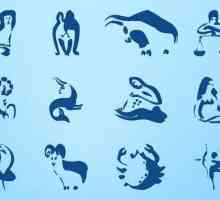 Horoskop: Jak uražený znamení zvěrokruhu?