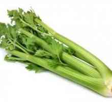 Vaření z petiolar celeru
