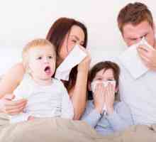 Chřipka: typy chřipky, příznaky, léčba, prevence