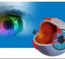 Gu „oční onemocnění Institute“ (Ufa): očí, diagnostika a léčba oftalmologických…
