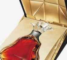 „Hennessy“ - brandy číslo 1 ve světě