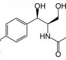 „Chloramfenikol“: návod k použití. Kapky „chloramfenikol“
