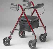 Choditka pro zdravotně postižené a starší osoby: typy, popis, výběrová pravidla
