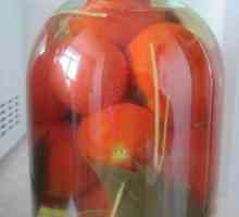 Moření rajčata za studena - staré tradice