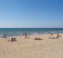 Byli jsme nadšení z pláže, Krym. Krymské střediska s písečnými plážemi. Nejlepších písečných pláží…
