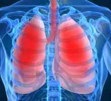 Chronická obstrukční plicní nemoc - hrozba pro život kuřáků