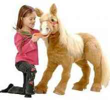 Toy kůň relevantní pro děti všech věkových kategorií
