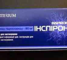 "Inspiron" (tablety): návod k použití. Tablety a sirup „Inspiron“:…