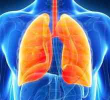 Intersticiální plicní onemocnění: popis, příčiny, příznaky, diagnostika, klasifikace a léčba