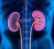 Izostenuriya - znamením onemocnění ledvin: příčiny a důsledky