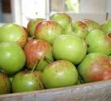 Jabloň Orlik: krásné ovoce s nádhernou vůní