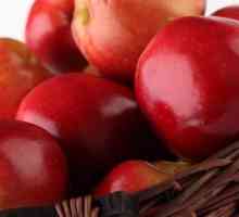 Apple Tree „Sláva vítězům“: popis odrůd, starat, foto