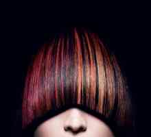 Bright a jedinečná paleta barev vlasů „Igor“