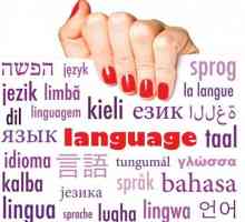 Языкознание - это... Основные разделы языкознания