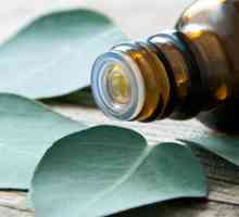 Eucalyptus esenciální olej: vlastnosti a použití, pokyny a zpětnou vazbu
