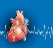 EKG rychlost ze základních ukazatelů