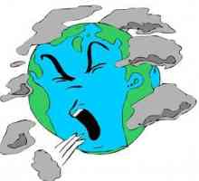 Экологическая проблема - это... Причины экологических проблем. Экологические проблемы земли
