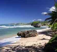 Exotické Barbados. Island Carib perleti
