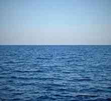 Proč sen o koupání v moři? oneiromancy