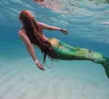 Proč sní o mořské panny? oneiromancy