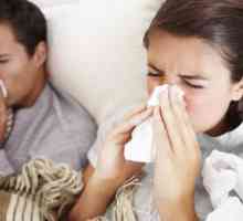 Jak rychle léčit chřipku doma? Lidových prostředků. léčení