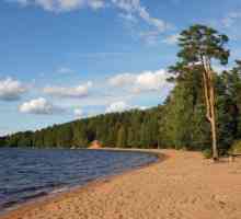Jak se tam dostat: jezero krása. Mapa Leningradské oblasti Více
