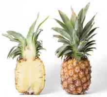 Jako je ananas, nebo vše, co potřebujete vědět o této tropické ovoce