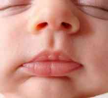Jak a kdy použít nosní kapky pro kojence