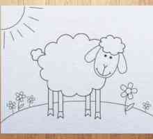 Jak k tomu ovce. Kreslení fáze