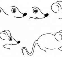 Как нарисовать мышку: два мастер-класса
