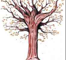 Как нарисовать осеннее дерево поэтапно
