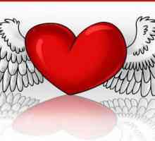 Как нарисовать сердце с крыльями: полезные рекомендации